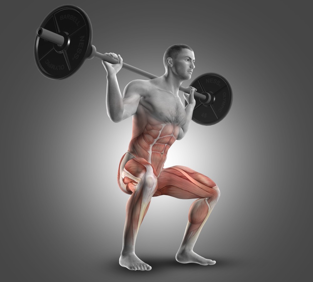 Image of a man doing squats to strengthen his legs, with the leg muscles and sore being activated